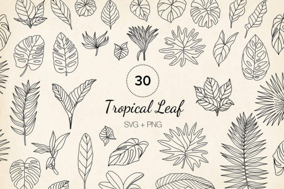 30 Hand-drawn Tropical Leaf SVG Clipart